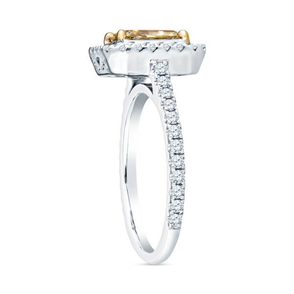a white and yellow gold ring with diamonds