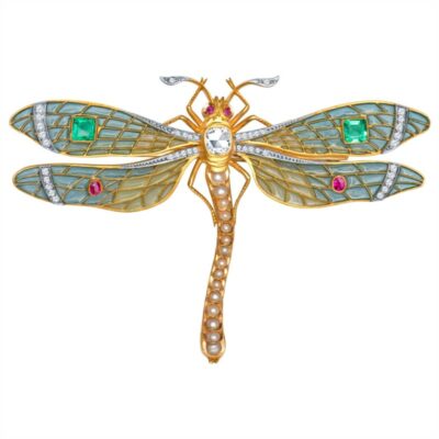 a brooch with a dragonfly on it's back