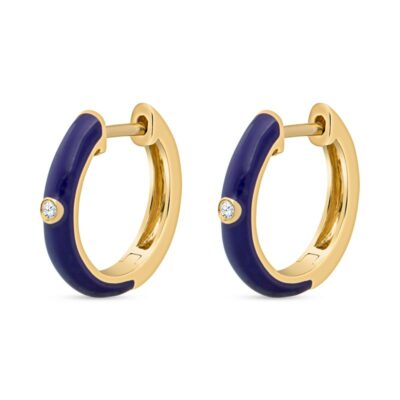a pair of blue and gold hoop earrings